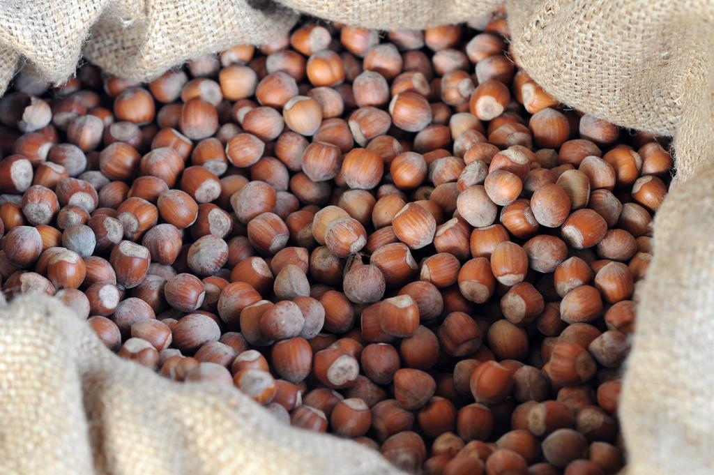 Agriturismo Cascina Varie Castagnito Ngoại thất bức ảnh
